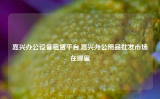 嘉兴办公设备租赁平台,嘉兴办公用品批发市场在哪里