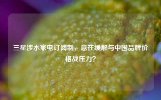 三星涉水家电订阅制，意在缓解与中国品牌价格战压力？