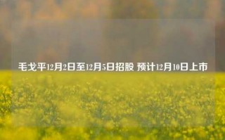 毛戈平12月2日至12月5日招股 预计12月10日上市