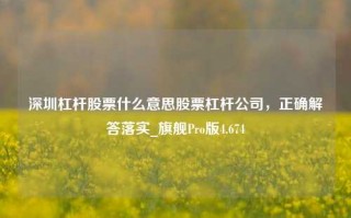 深圳杠杆股票什么意思股票杠杆公司，正确解答落实_旗舰Pro版4.674