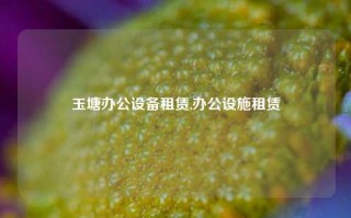 玉塘办公设备租赁,办公设施租赁