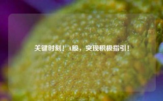 关键时刻！A股，突现积极指引！