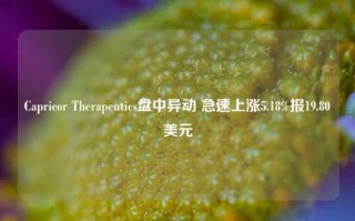 Capricor Therapeutics盘中异动 急速上涨5.18%报19.80美元