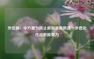 外交部：中方愿为防止叙利亚局势进一步恶化作出积极努力