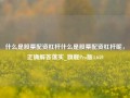 什么是股票配资杠杆什么是股票配资杠杆呢，正确解答落实_旗舰Pro版4.659