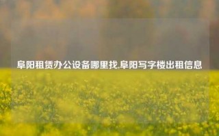 阜阳租赁办公设备哪里找,阜阳写字楼出租信息