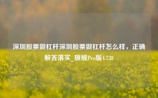 深圳股票做杠杆深圳股票做杠杆怎么样，正确解答落实_旗舰Pro版4.738