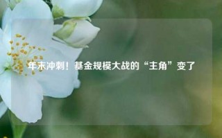 年末冲刺！基金规模大战的“主角”变了