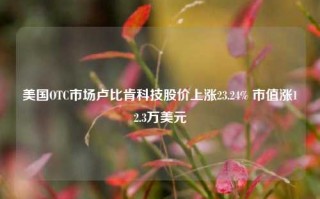 美国OTC市场卢比肯科技股价上涨23.24% 市值涨12.3万美元