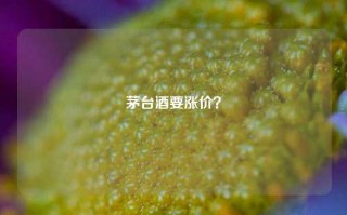 茅台酒要涨价？