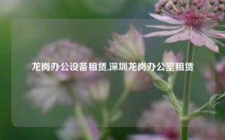 龙岗办公设备租赁,深圳龙岗办公室租赁