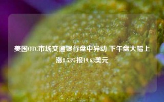 美国OTC市场交通银行盘中异动 下午盘大幅上涨8.53%报19.63美元