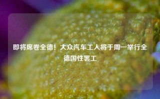 即将席卷全德！大众汽车工人将于周一举行全德国性罢工