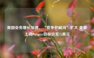 美国业务增长加速、“竞争护城河”扩大 美银上调Palantir目标价至75美元