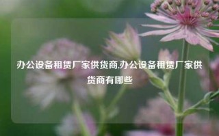 办公设备租赁厂家供货商,办公设备租赁厂家供货商有哪些