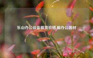 乐山办公设备租赁价格,租办公器材