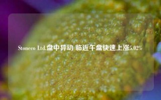 Stoneco Ltd.盘中异动 临近午盘快速上涨5.02%