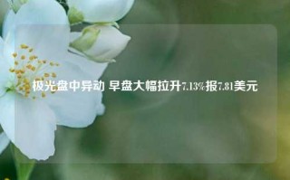 极光盘中异动 早盘大幅拉升7.13%报7.81美元