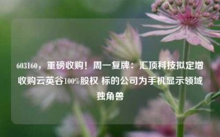 603160，重磅收购！周一复牌：汇顶科技拟定增收购云英谷100%股权 标的公司为手机显示领域独角兽