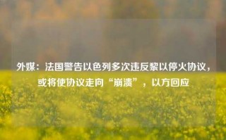 外媒：法国警告以色列多次违反黎以停火协议，或将使协议走向“崩溃”，以方回应