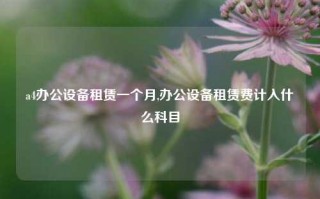 a4办公设备租赁一个月,办公设备租赁费计入什么科目