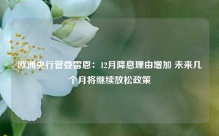 欧洲央行管委雷恩：12月降息理由增加 未来几个月将继续放松政策