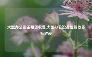 大型办公设备租赁收费,大型办公设备租赁收费标准表