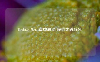 Desktop Metal盘中异动 股价大跌5.05%