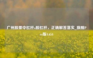 广州股票中杠杆a股杠杆，正确解答落实_旗舰Pro版4.654