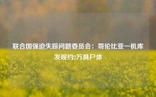 联合国强迫失踪问题委员会：哥伦比亚一机库发现约2万具尸体