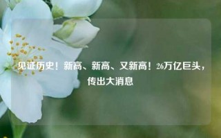 见证历史！新高、新高、又新高！26万亿巨头，传出大消息