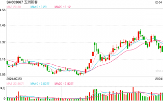 “人红是非多”，五洲新春调研记录被伪造！今日开盘一字涨停，实现四连板