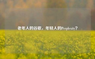 老年人的谷歌，年轻人的Perplexity？