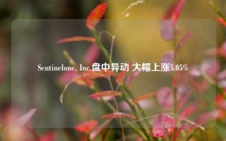 Sentinelone, Inc.盘中异动 大幅上涨5.05%