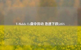 T-Mobile Us盘中异动 急速下跌5.05%