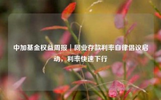 中加基金权益周报︱同业存款利率自律倡议启动，利率快速下行