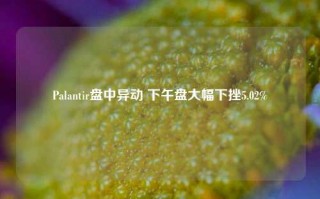 Palantir盘中异动 下午盘大幅下挫5.02%