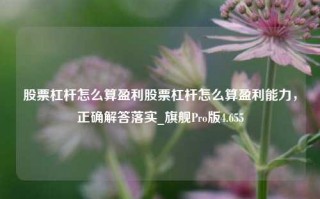 股票杠杆怎么算盈利股票杠杆怎么算盈利能力，正确解答落实_旗舰Pro版4.655