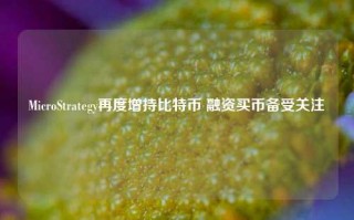 MicroStrategy再度增持比特币 融资买币备受关注