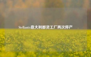 Stellantis意大利都灵工厂再次停产