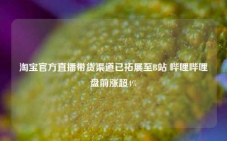 淘宝官方直播带货渠道已拓展至B站 哔哩哔哩盘前涨超4%