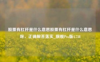 股票有杠杆是什么意思股票有杠杆是什么意思呀，正确解答落实_旗舰Pro版4.738