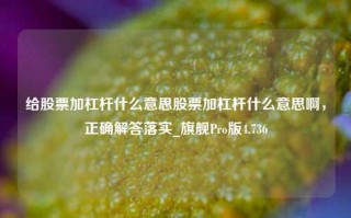 给股票加杠杆什么意思股票加杠杆什么意思啊，正确解答落实_旗舰Pro版4.736