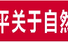 自然资源部自然资源开发利用司副司长：合理把握“立与破”“改与稳”  全力推动存量土地和低效用地盘活利用