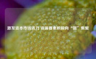 激发资本市场活力 资源要素积极向“新”集聚