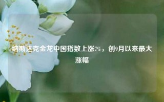 纳斯达克金龙中国指数上涨7%，创9月以来最大涨幅