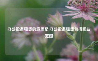 办公设备租赁的意思是,办公设备租赁包括哪些范围