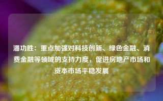 潘功胜：重点加强对科技创新、绿色金融、消费金融等领域的支持力度，促进房地产市场和资本市场平稳发展