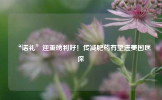 “诺礼”迎重磅利好！传减肥药有望进美国医保