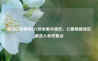 超万亿股票型ETF迎来集中调仓，公募规模排位赛进入年终赛点